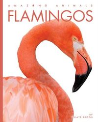Produktbild: Flamingos