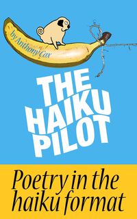 Produktbild: The Haiku Pilot