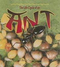 Produktbild: The Life Cycle of an Ant
