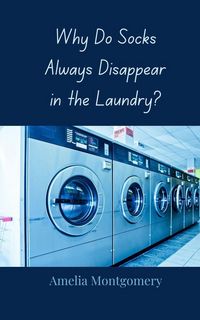 Produktbild: Why Do Socks Always Disappear in the Laundry?