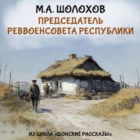 Produktbild: Predsedatel' revvoensoveta respubliki
