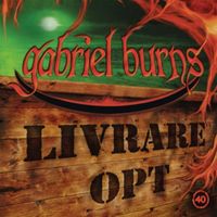 Produktbild: 40/Livrare opt