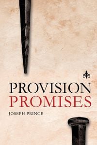 Produktbild: Provision Promises