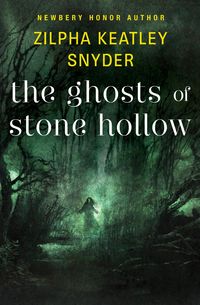 Produktbild: The Ghosts of Stone Hollow