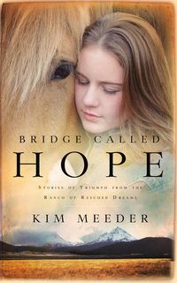 Produktbild: Bridge Called Hope