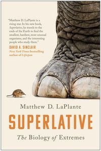 Produktbild: Superlative