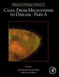 Produktbild: Cilia
