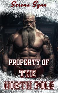 Produktbild: Property of the North Pole