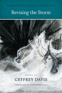 Produktbild: Revising the Storm