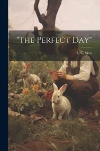 Produktbild: "The Perfect Day"