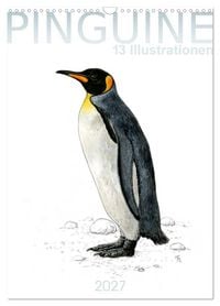 Produktbild: Pinguine - 13 Illustrationen (Wandkalender 2027 DIN A3 hoch), CALVENDO Monatskalender
