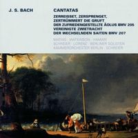 Bild vom Artikel Mathis/Schreier/KOB: Cantatas-BWV 205/207 vom Autor Mathis