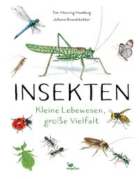 Produktbild: Insekten - Kleine Lebewesen, gro&szlig;e Vielfalt