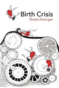 Produktbild: Birth Crisis