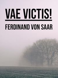 Produktbild: Vae victis!