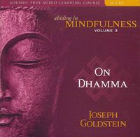 Produktbild: Abiding in Mindfulness V03   D