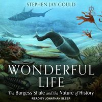 Bild vom Artikel Wonderful Life: The Burgess Shale and the Nature of History vom Autor Stephen Jay Gould