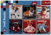 Bild vom Artikel Puzzle 200 - Happy Dogs (Kinderpuzzle) vom Autor 