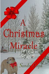 Produktbild: A Christmas Miracle (Christmas Miracle Series, #1)