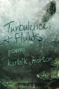 Produktbild: Turbulence & Fluids