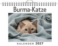 Produktbild: Burma-Katze