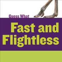 Produktbild: Fast and Flightless