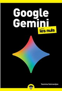 Produktbild: Google Gemini Poche Pour les Nuls
