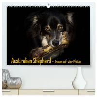Produktbild: Australian Shepherd - Traum auf vier Pfoten (hochwertiger Premium Wandkalender 2027 DIN A2 quer), Kunstdruck in Hochglanz