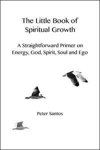 Produktbild: The Little Book of Spiritual Growth