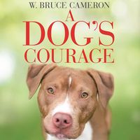 Produktbild: A Dog's Courage