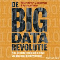 Produktbild: De big data revolutie