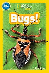 Produktbild: Evans, S: Bugs! (National Geographic Kids Readers, Pre-Reade