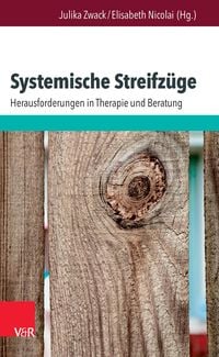 Produktbild: Systemische Streifz&uuml;ge