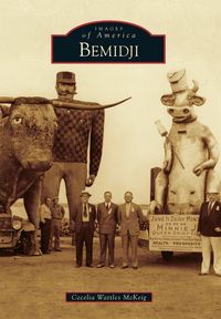 Produktbild: Bemidji