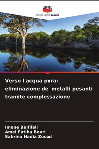 Produktbild: Verso l'acqua pura: eliminazione dei metalli pesanti tramite complessazione