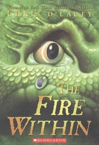 Produktbild: The Fire Within (the Last Dragon Chronicles #1)