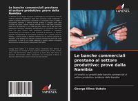 Produktbild: Le banche commerciali prestano al settore produttivo: prove dalla Namibia