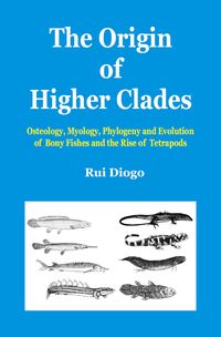 Produktbild: The Origin of Higher Clades