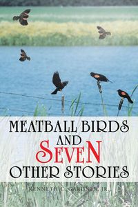 Produktbild: Meatball Birds and Seven Other Stories