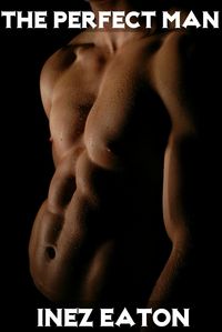 Produktbild: The Perfect Man