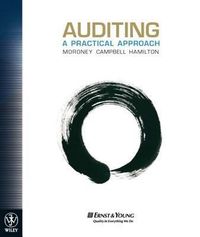 Produktbild: Auditing