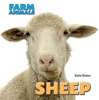 Produktbild: Farm Animals: Sheep