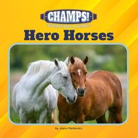 Produktbild: Hero Horses