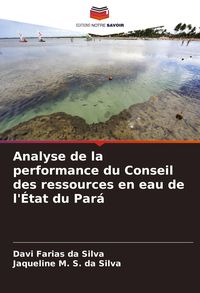 Produktbild: Analyse de la performance du Conseil des ressources en eau de l'&Eacute;tat du Par&aacute;