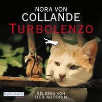 Produktbild: Turbolenzo
