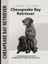 Produktbild: Chesapeake Bay Retriever