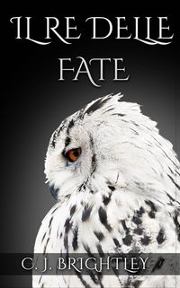 Produktbild: Il Re delle Fate (Fairy king series, #1)