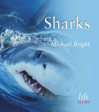 Produktbild: Sharks
