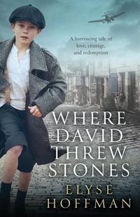 Produktbild: Where David Threw Stones