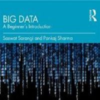 Produktbild: Big Data
